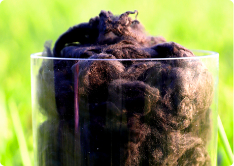 ͼǹ(H88)ͼƽ̨_ͼַ鲩