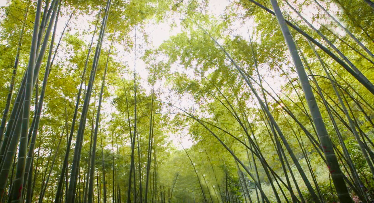 ͼǹ(H88)ͼƽ̨_ͼַ鲩